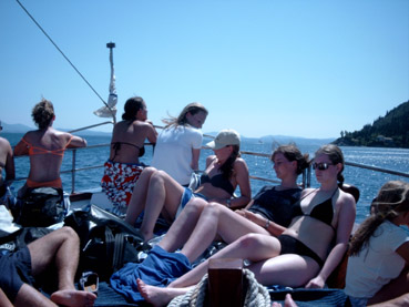 Bild0351