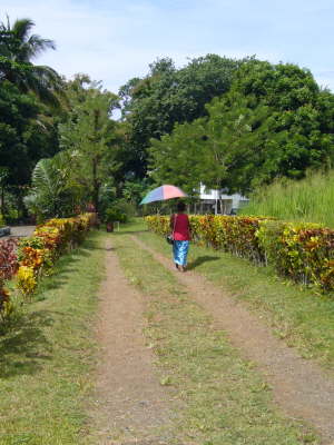 Alotau