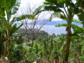 Alotau