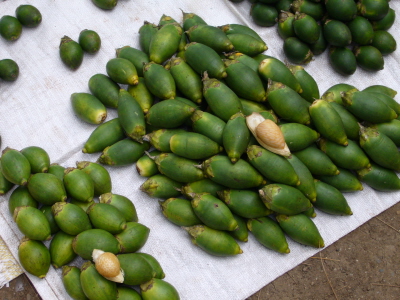 Madang
