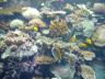Palau