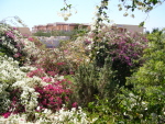Robinson Club Soma Bay