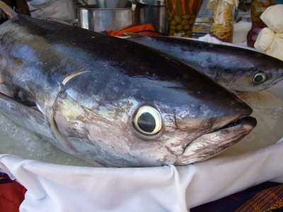 Wewak