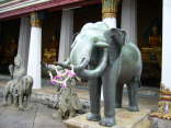 Bangkok027
