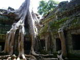 Cambodia103