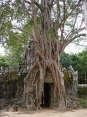 Cambodia175