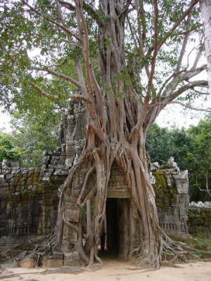 Cambodia175