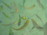 Evason Phuket105