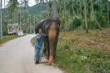 Koh Samui 3