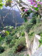 Madeira012