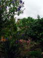 Madeira017