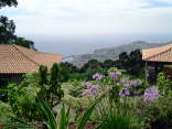 Madeira029