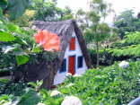 Madeira036