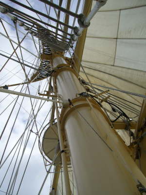 P1000726