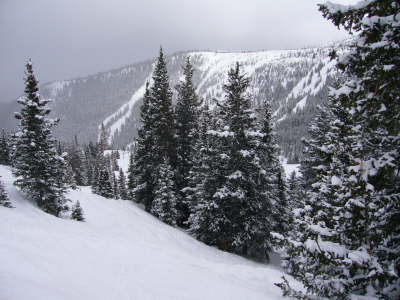 Powder Day019