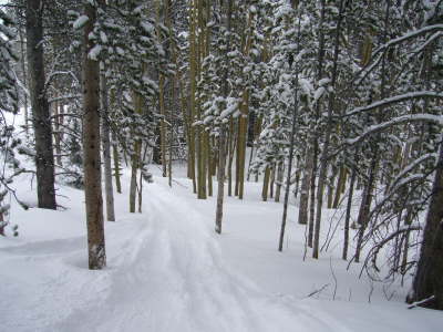 Powder Day032