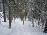 Powder Day032