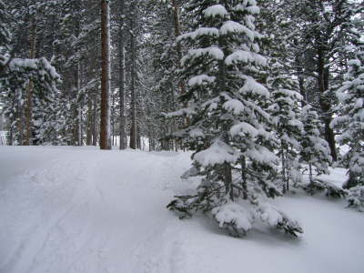 Powder Day035