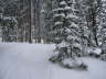 Powder Day035