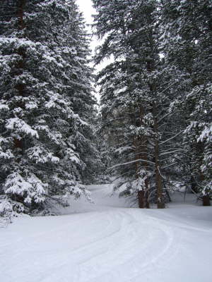 Powder Day036