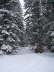 Powder Day036